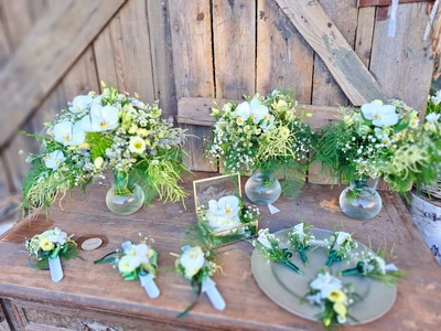 287677789_733964268026831_6748403161492624531_n-8