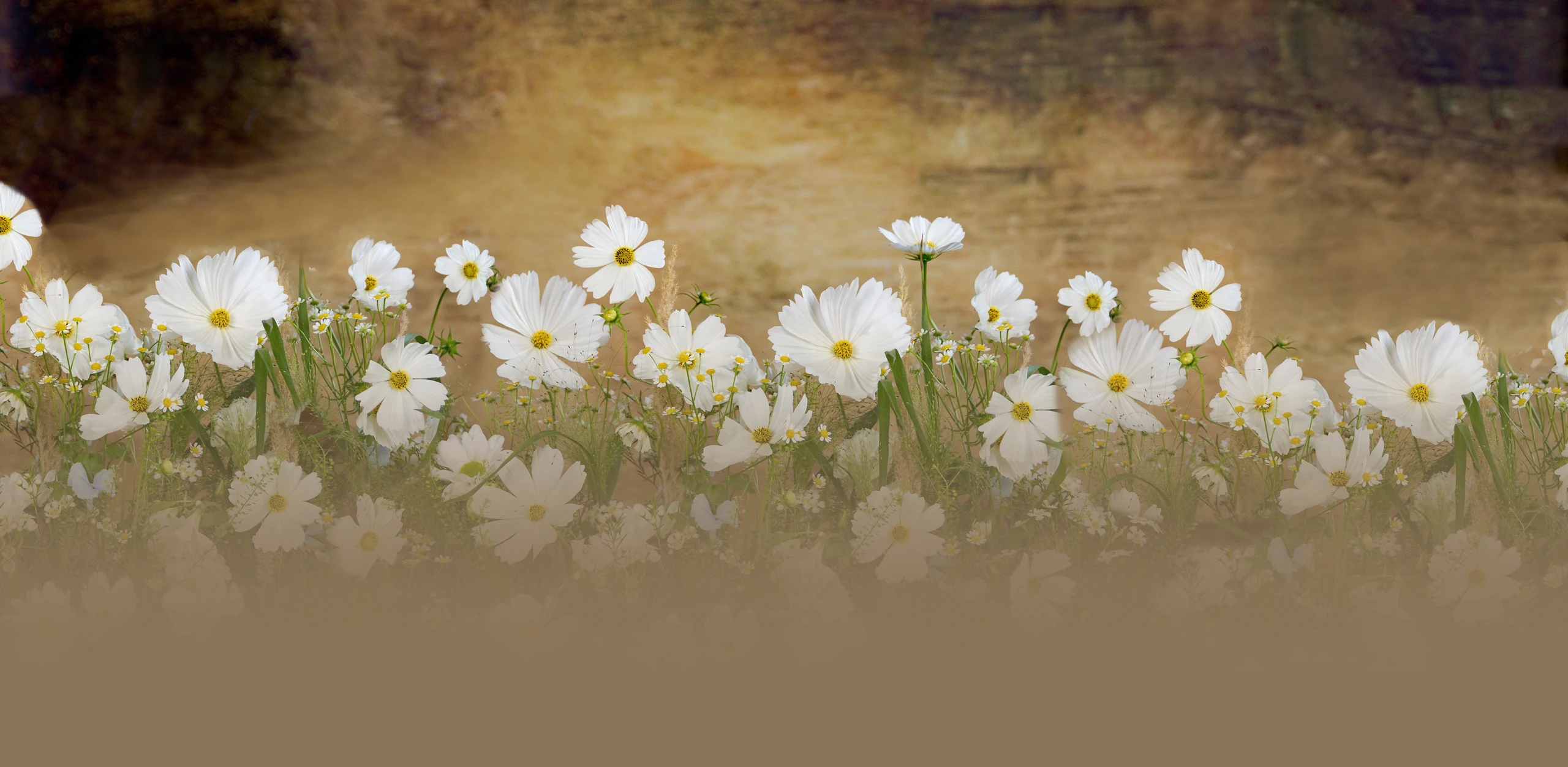 KVĚTINOVÁ DÍLNA ANDĚL