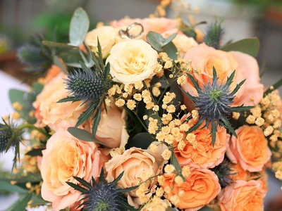 Obrázek WhatsApp, 2025-10-20 v 144731_f582b55e