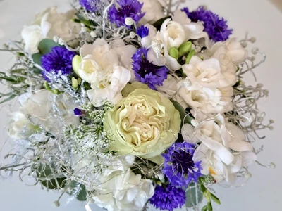 PHOTO-2022-07-28-11-25-39 2-0