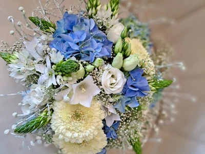 PHOTO-2022-07-28-11-25-40 2