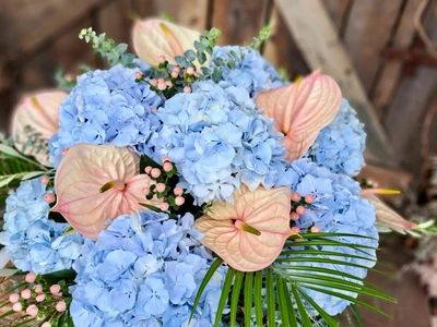 PHOTO-2022-07-29-17-50-39 2-1